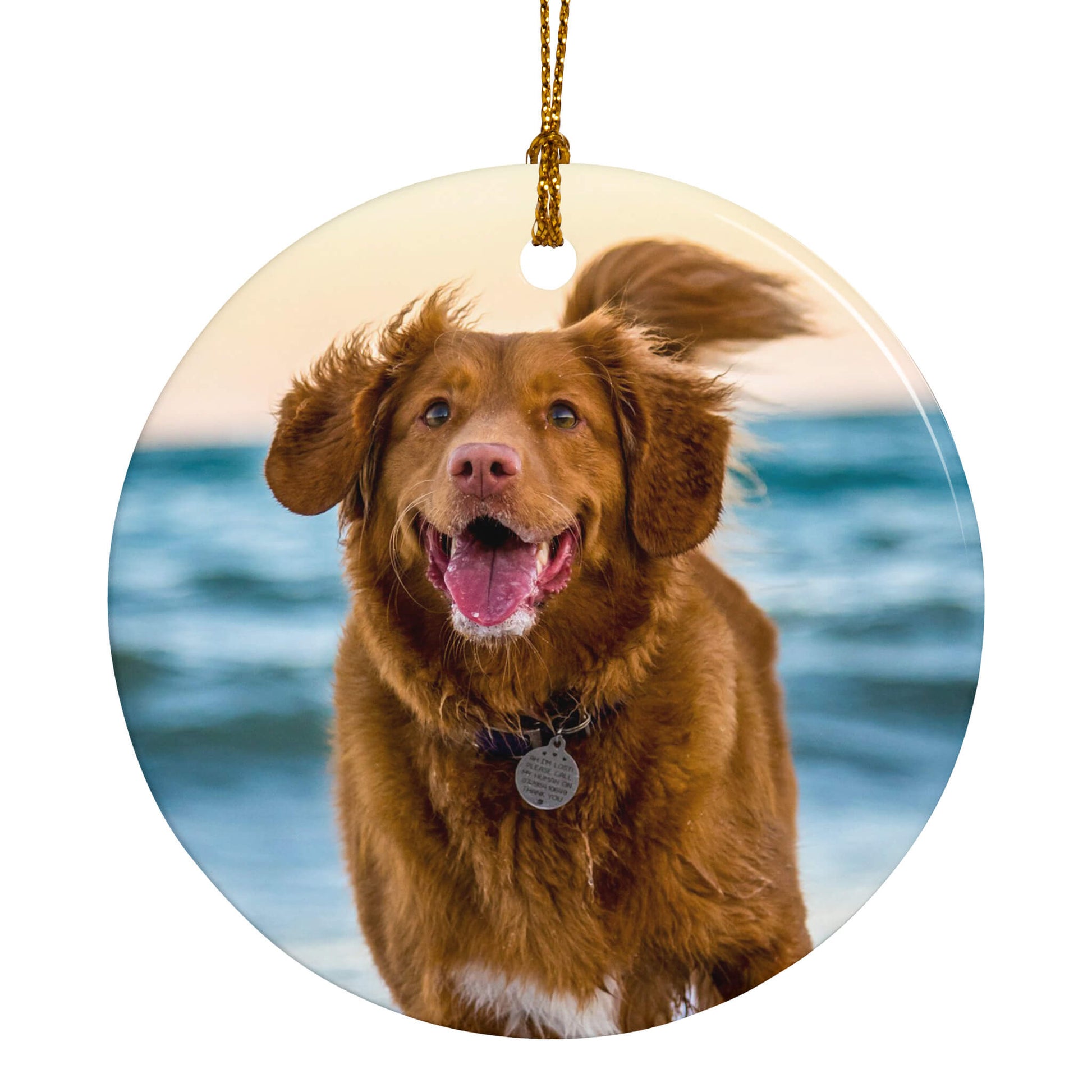 Personalized_Holiday_Ornament_for_Pet