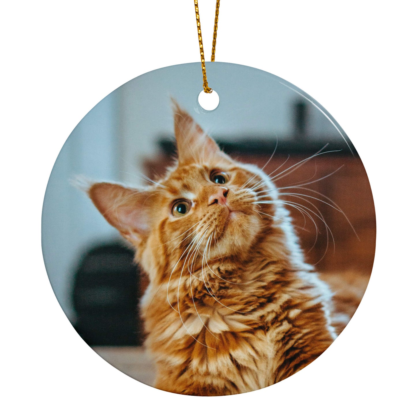 Personalized_Holiday_Ornament_for_Pet