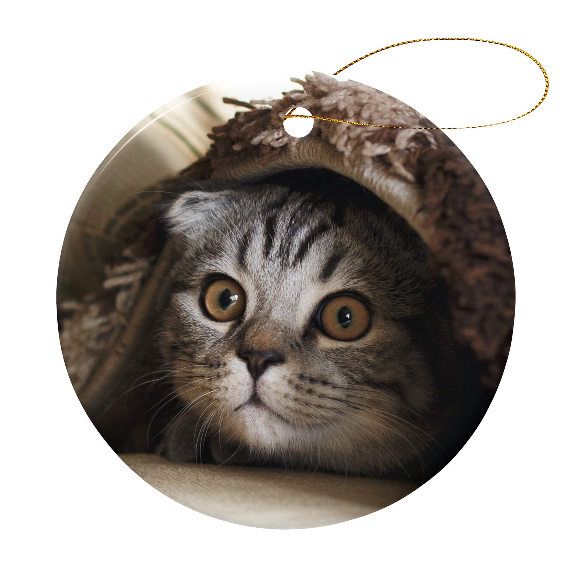 Personalized_Holiday_Ornament_for_Pet