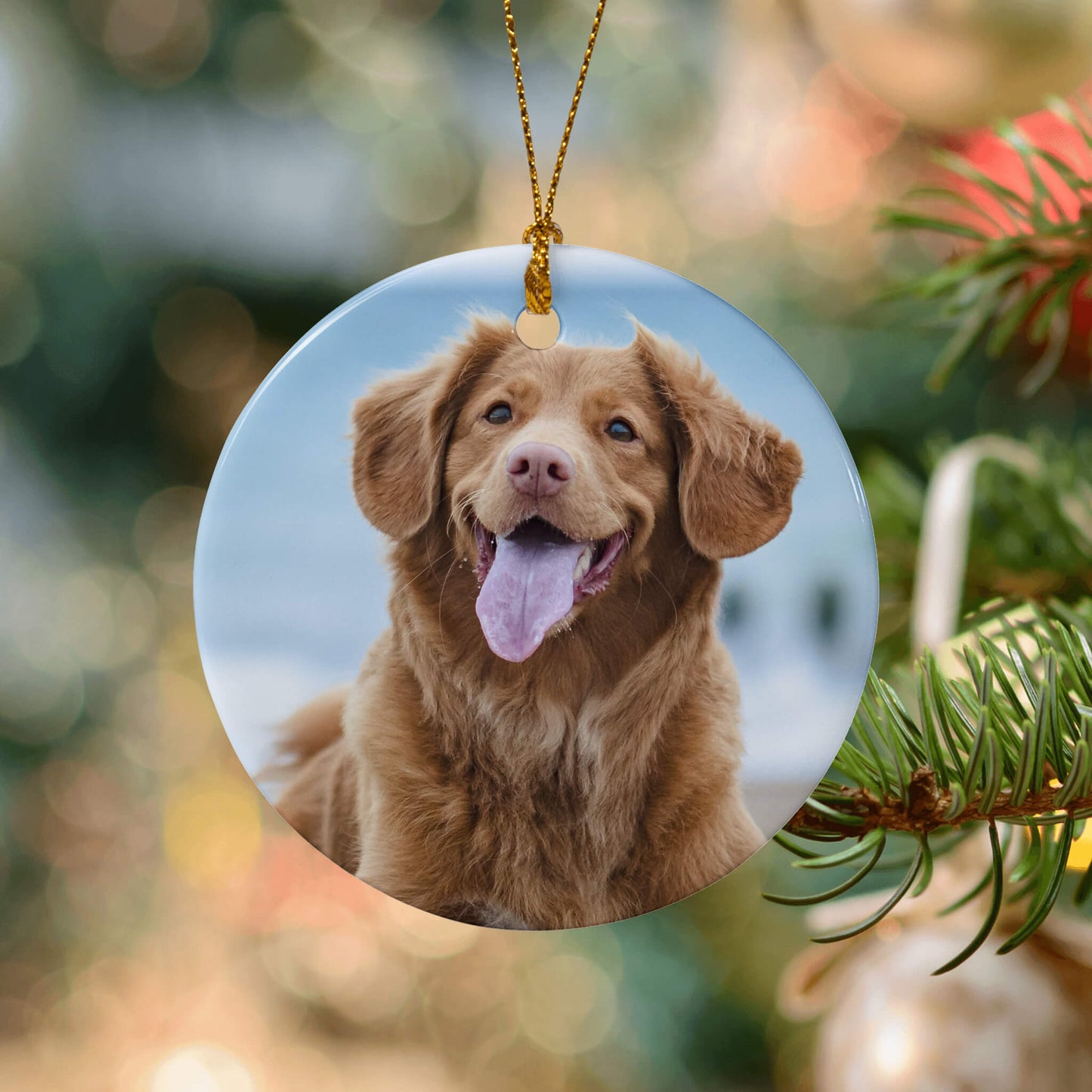 Personalized_Holiday_Ornament_for_Pet