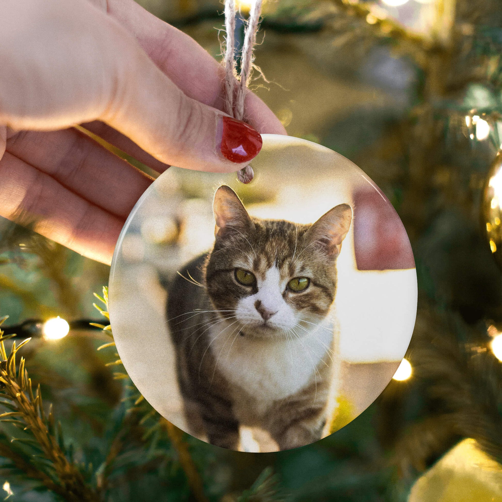 Personalized_Holiday_Ornament_for_Pet