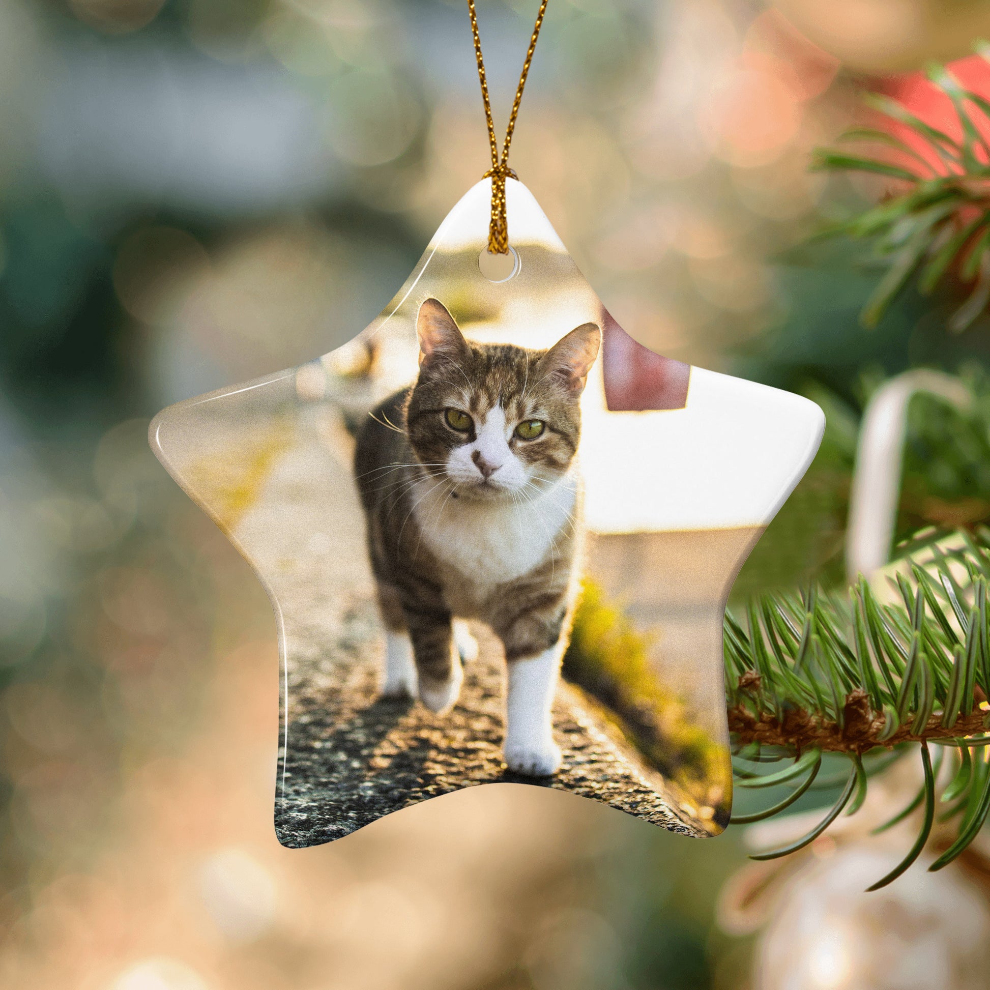 Personalized Christmas Ornament Decor Gift