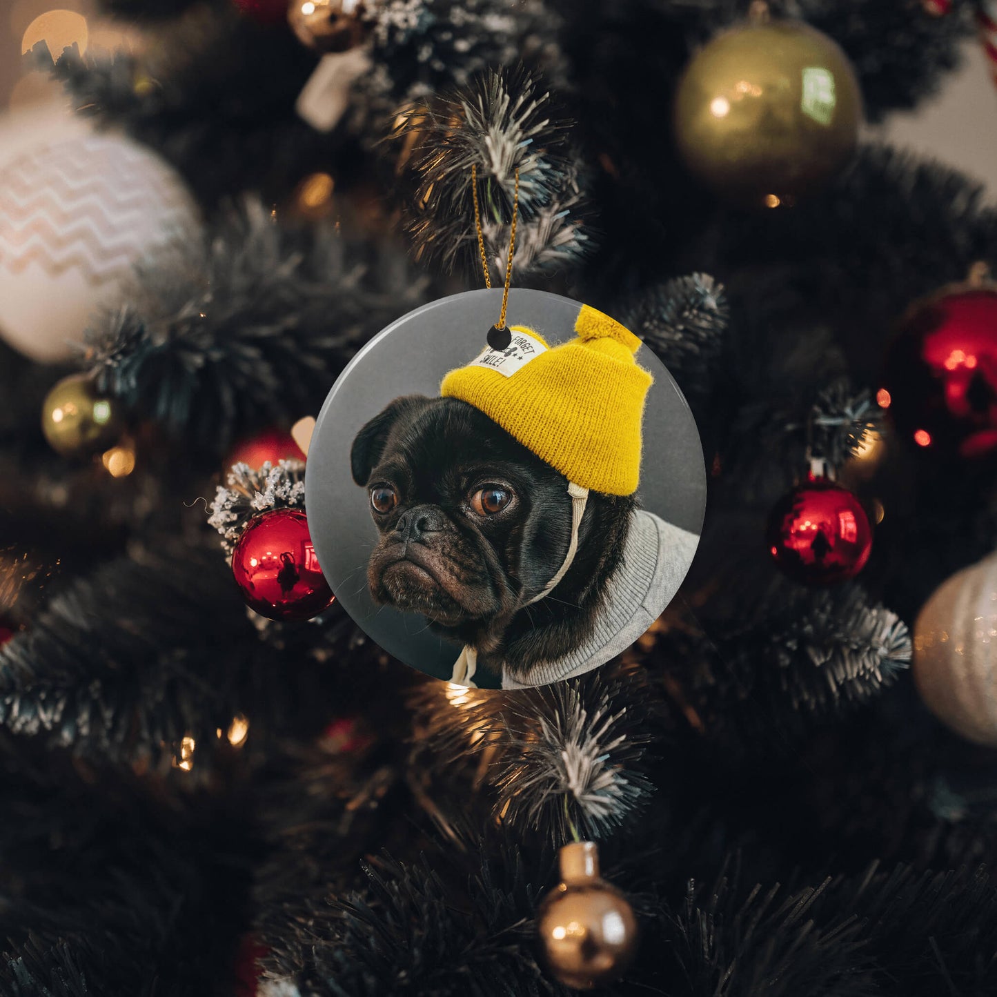 Personalized_Holiday_Ornament_for_Pet